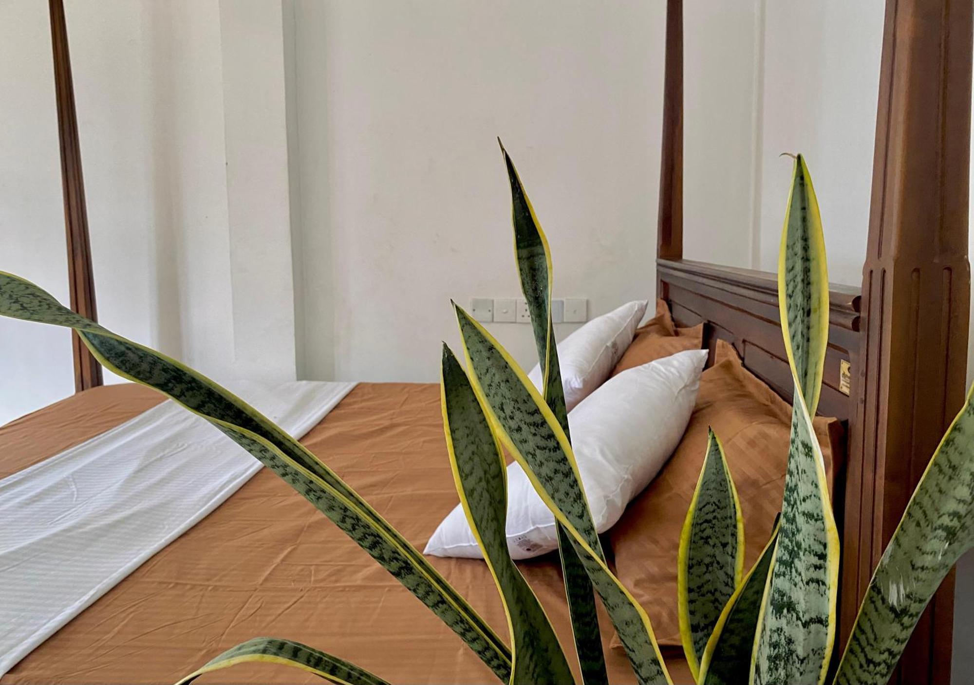 Sasmika Villa Surf And Yoga Hostel Weligama Ngoại thất bức ảnh