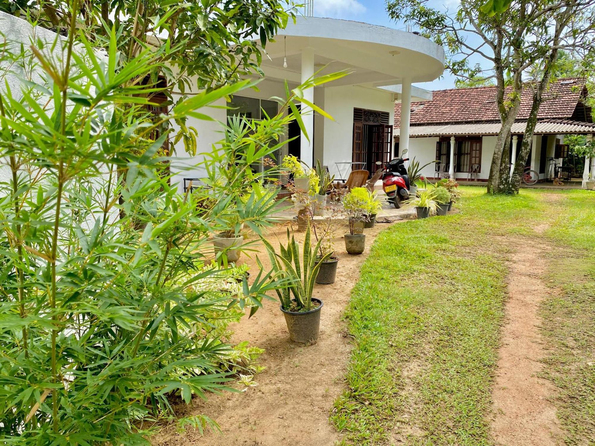 Sasmika Villa Surf And Yoga Hostel Weligama Ngoại thất bức ảnh