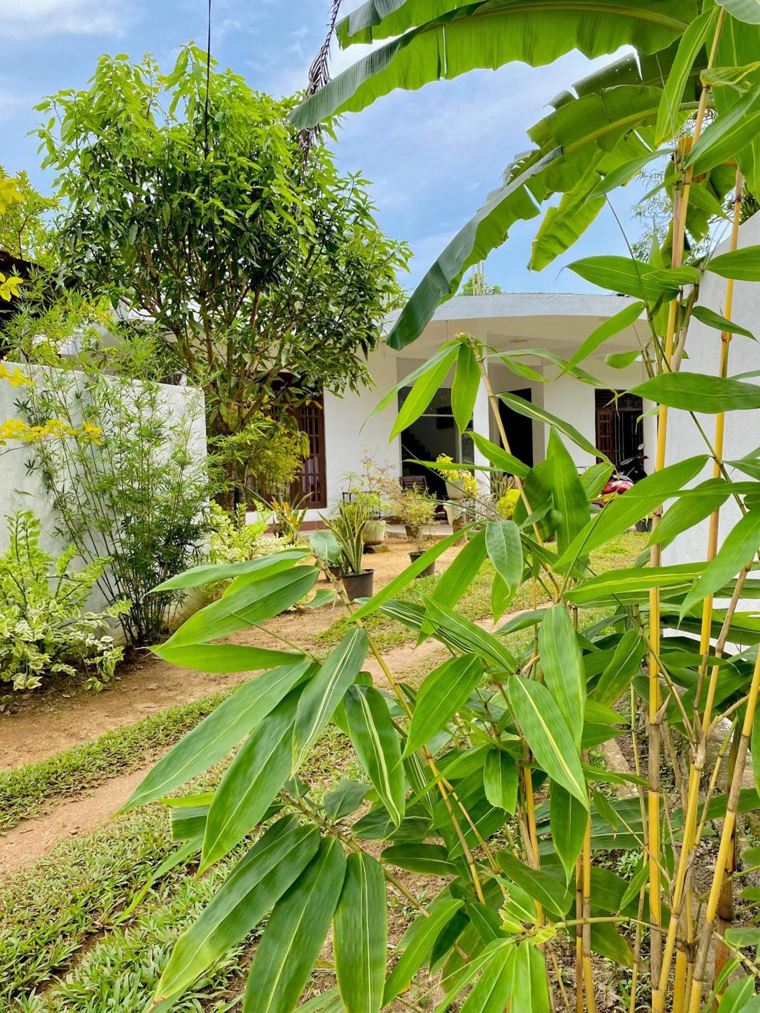 Sasmika Villa Surf And Yoga Hostel Weligama Ngoại thất bức ảnh